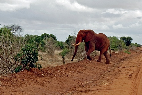 Kenia (347)